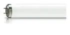 Philips TL-DK 36W - Blacklight | 60cm - Insectkiller