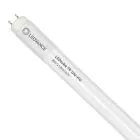 Ledvance Tube LED T8 Value (UN) High Output 8W 800lm - 830 Blanc Chaud | 60cm - Équivalent 18W